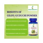 Giloy Powder 100g - Pack of 2 - Image 4