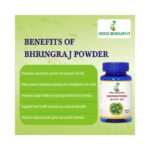 Bhringraj Powder 100g - Image 4