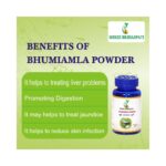 Bhumiamla Powder 100g - Image 3